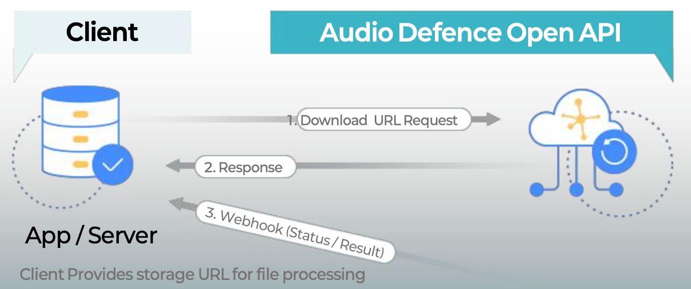 API Response and Processing